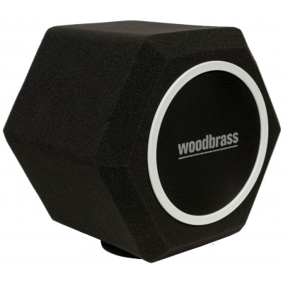 PF06 Filtre Anti-Pop