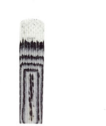 Carbon Bb- Clarinet Boehm M
