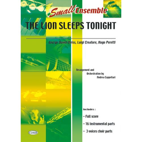 LION SLEEPS TONIGHT - ENSEMBLE MUSICAL (REDUIT)