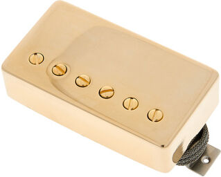 Custombucker Gold