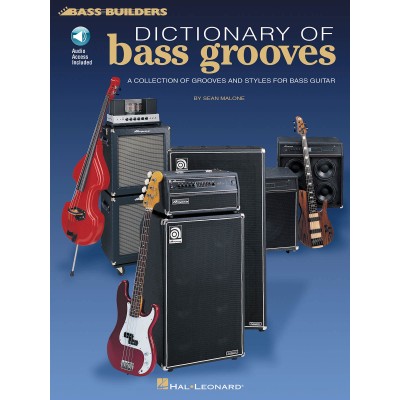 DICTIONARY OF BASS GROOVES TAB + AUDIO EN LIGNE