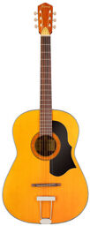 Vintage Hootenanny 6 HP Naturel