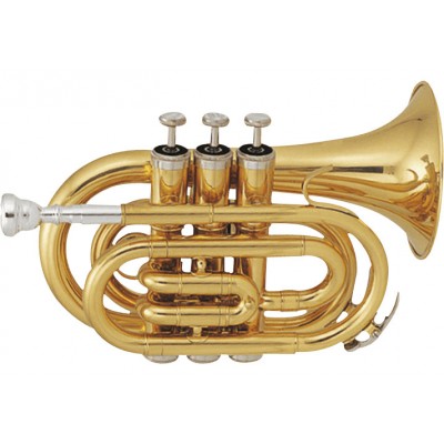 TP50 - Sib Vernie