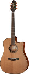 P3DC w/Softcase Naturel