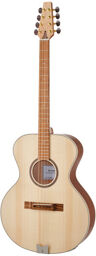 Bouzouki-Guitar Standard PU Natural