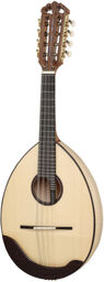 La Gioiosa Solist Mandolin MA