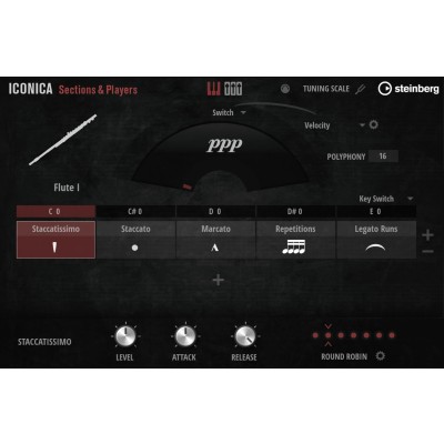 Iconica Sections & Players