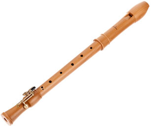 2246 Canta Alto Recorder