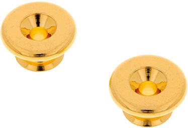 EP-B3 Gold Strap Pins