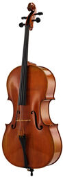 Albert Nebel Cello VC601G+ 4/4