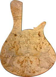 Wega 5 Poplar Burl Premium Natural