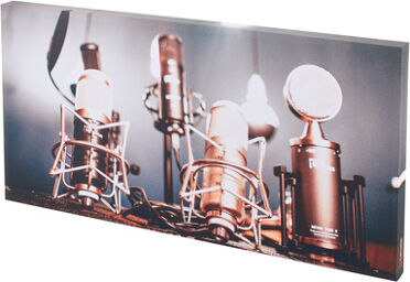 Print Panel Shiny Mics