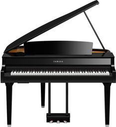 CLP-895GP PE Noir poli