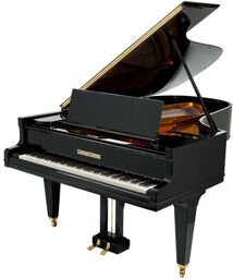 Model 220 used Black polished