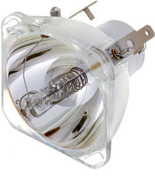 MSD Platinum 2R 8000 K