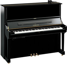 U3 SH3 PE Piano