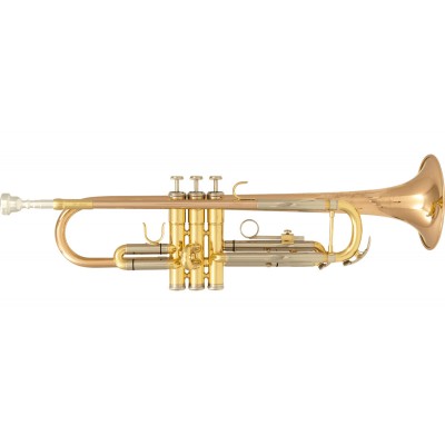 TP600 - Sib Vernie