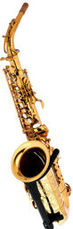 RX Gold Lacquered Alto Sax