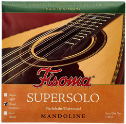 F3050M Flatwound Mandolin Str.