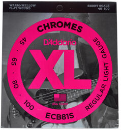 ECB81S