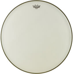 24 Renaissance Ambassador Bass