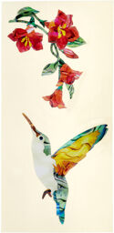 Hummingbirds & Flowers