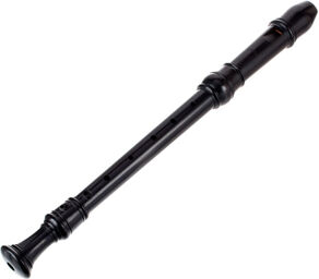 4307 Rottenburgh Alto