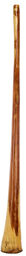 Didgeridoo Eucalyp. Proline E
