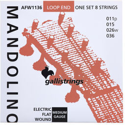 AFW1136 Mandolin Str. Medium