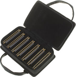 Blues Deville 7 pack with case