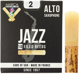 Jazz filed Alto Saxophone 2.0