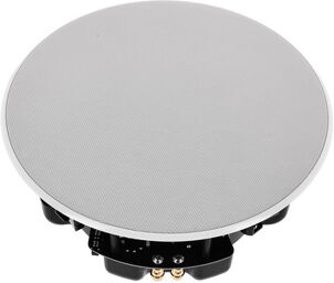 Ceil 8 White White