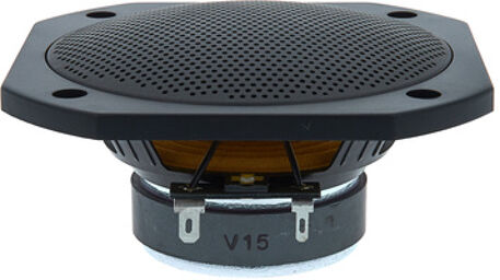 FRS 10 WP 4 Ohm Black Noir