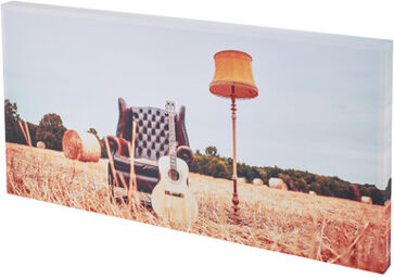 Print Panel Acoustic Fields