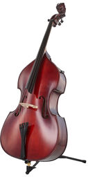Solo Double Bass Lion`s Head