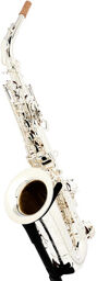 ALBSS Custom Line Alto Sax