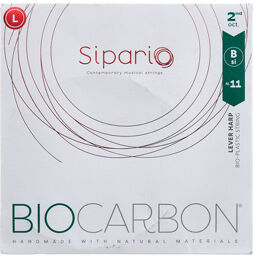 BioCarbon Str. 2nd Oct. SI/B