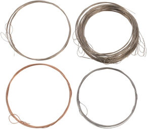 Nataraj Dilruba Strings Set