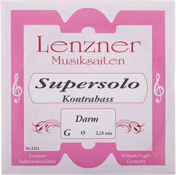Gut G String 1311