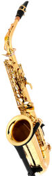 YAS-875 EX Alto Sax