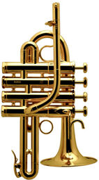 P 7-4 GP A/Bb Piccolo Gold