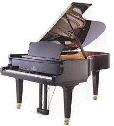 208 Professional Grand Piano Polished black