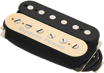 Alex Skolnick Bridge Zebra Zebra