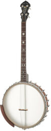 IT-19 Irish Tenor Banjo w/Bag Vintage Brown Satin