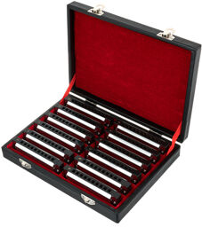 Blues Harmonica Set