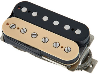 APH-2B Slash Alnico II Pro ZB Zebra