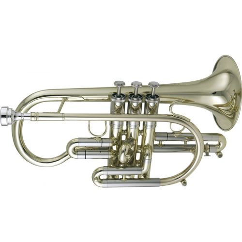 Custom 3810 Laiton Verni