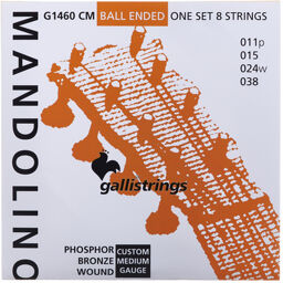 G1460 CM Mandolin Str. Medium