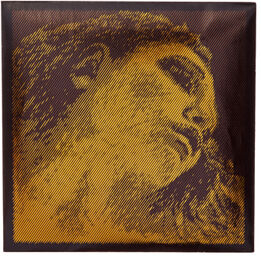 Evah Pirazzi Gold E Violin LP