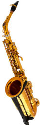 Signature Alto Sax SE-ASIL